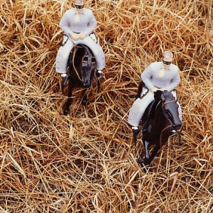 Brothers/ Aerial View/ Vertical