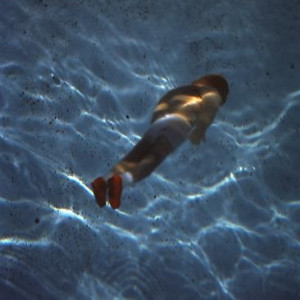 Floating Boy/ Red Shoes