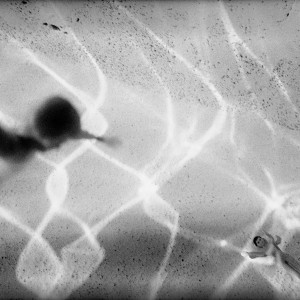 Son Waving to Father