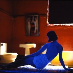 Long House (Red Bathroom/ Blue Figure)