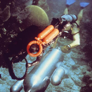 Black Diver/ Mine Sub