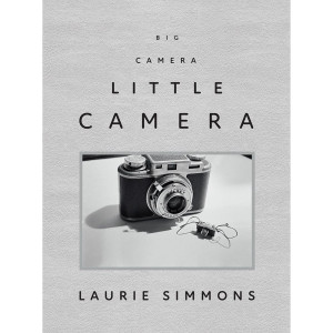 Laurie Simmons: Big Camera/Little Camera