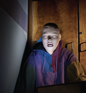 Laurie Simmons's Two Boys